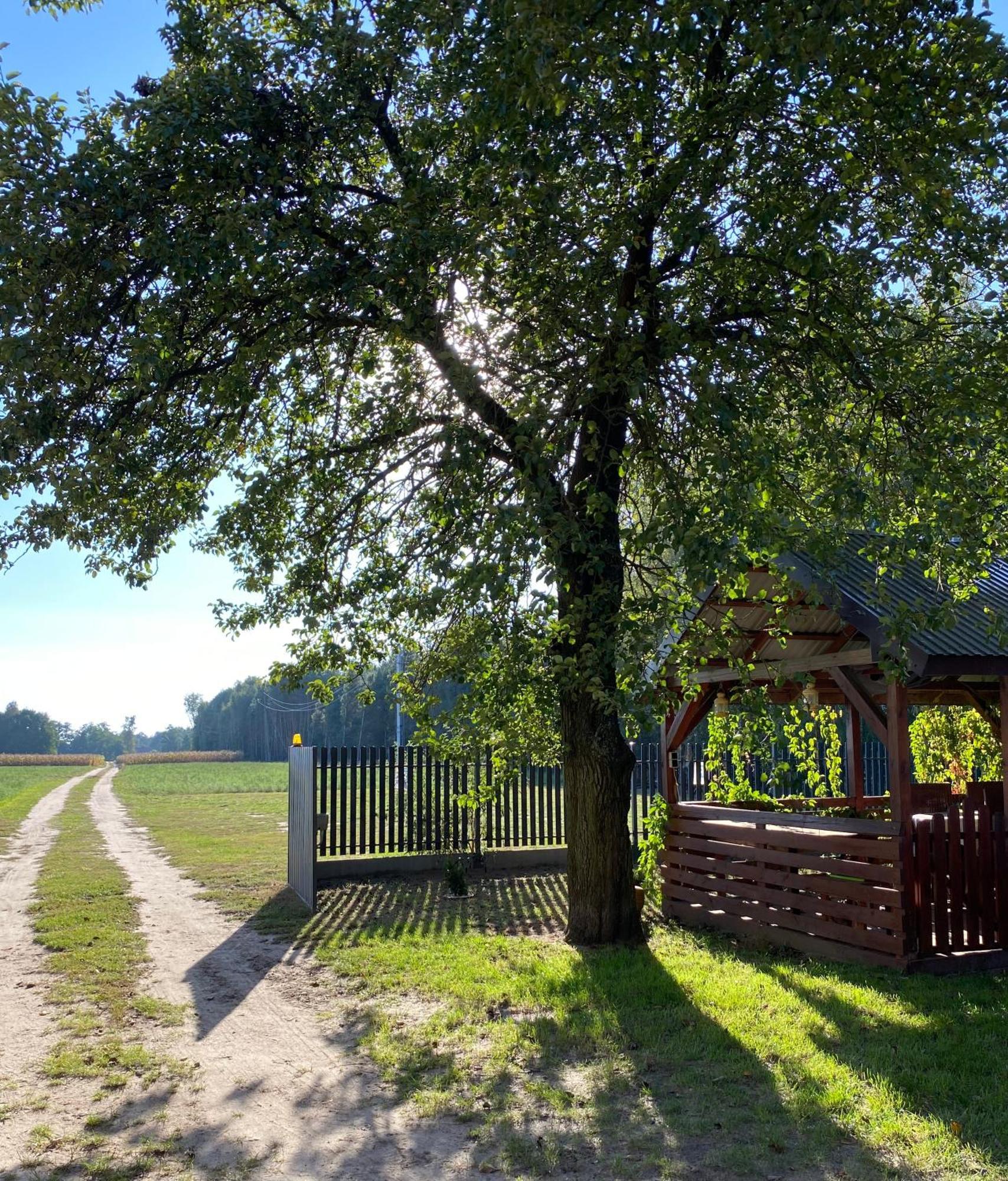 Maciejowka Gospodarstwo Agroturystyczne Poddebice المظهر الخارجي الصورة