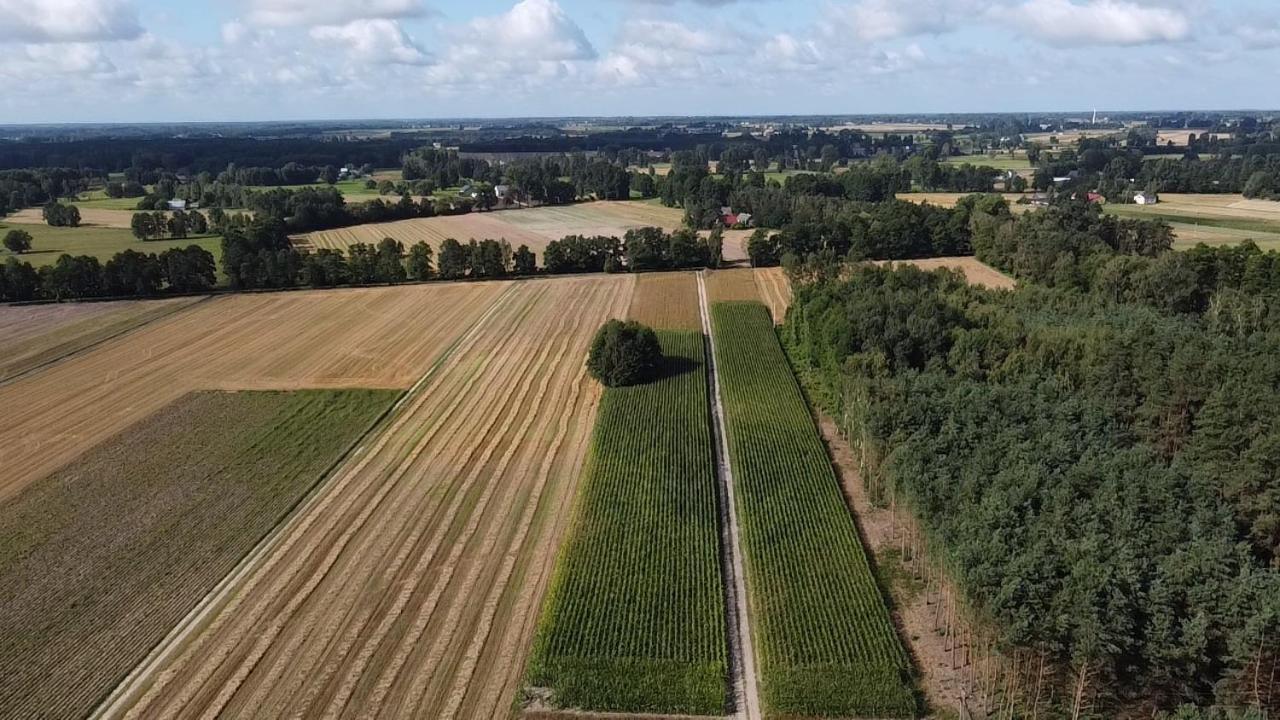 Maciejowka Gospodarstwo Agroturystyczne Poddebice المظهر الخارجي الصورة